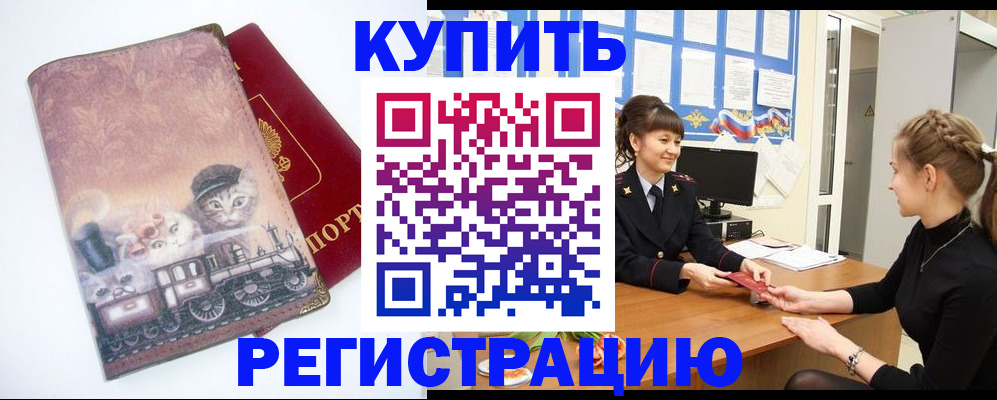 прописка 2025 в Новозыбкове
